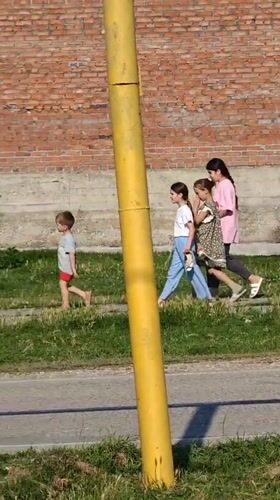 Sunny roadside stop in Mayrtup with kids and parked vehicles
