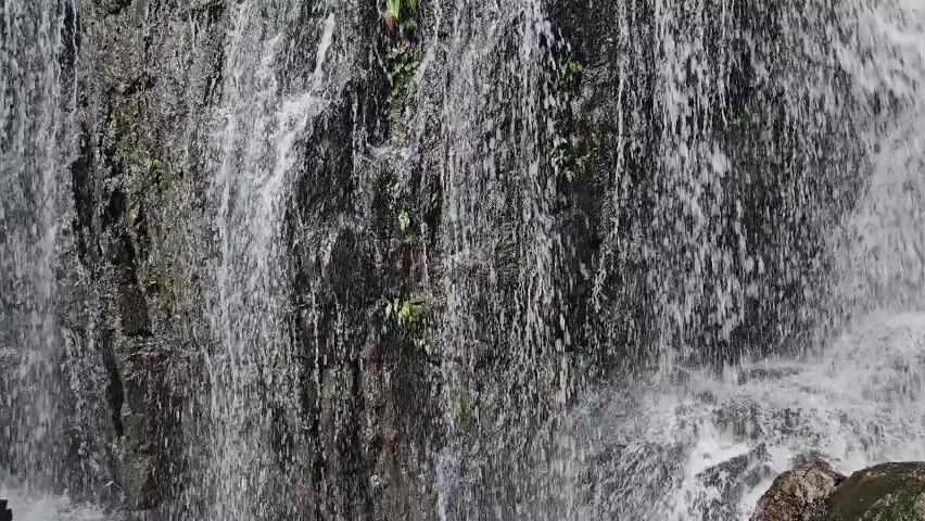 A close-up video shows a waterfall cascading down a rocky surface. The water flows in sheets and streams, creating a dynamic and frothy effect against the dark, textured rock. Small green plants are visible growing in crevices on the rock face, adding touches of life to the scene. The overall impression is one of natural beauty and the raw power of water.
