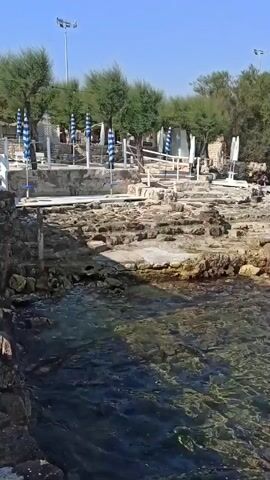 The video shows a scenic coastal area with rocky shores and clear blue water. In the foreground, the water is shallow and transparent, revealing the rocky seabed. The shore is made up of large, uneven rocks, with some flat paved areas and wooden walkways. Several beach umbrellas with blue and white stripes are set up on the shore. In the background, there are trees and some buildings, and further out, a line of hotels or apartments can be seen along the coastline. The sky is clear and blue, indicating a sunny day. The overall impression is a relaxed seaside resort or beach area.
