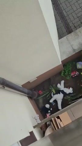 The video provides an aerial view of an outdoor space, likely a garden or courtyard, with several elements of interest. In the foreground, a section of a building's exterior wall is visible, with a downspout running vertically. Below this, a planter box is filled with plants and several children's toys. Among the toys are a stuffed dog, a toy car, and what appear to be books or papers. The ground surface adjacent to the planter box is paved with interlocking bricks, and a metal grate runs along the edge of the paving. Further into the background, more greenery and plants are visible, including some with reddish foliage. The scene appears to be outdoors, possibly in a residential area, given the presence of toys and the architectural elements.