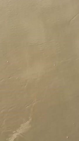 The video shows a close-up view of gentle waves washing over a sandy beach. The sand is a light tan color and has subtle ripple patterns from the receding water. Small white specks, possibly shells or debris, are scattered across the sand. As the video progresses, a small wave approaches and breaks, creating white foam that spreads across the surface of the sand, obscuring the patterns and specks. The water is clear, and the sunlight reflects off the wet sand and foam. The scene is peaceful and natural, capturing the dynamic interaction of water and sand on a beach.