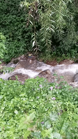 Vashisht, India