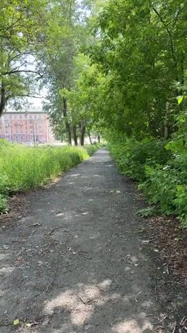 This is a first-person view video taken while walking on a paved path. The path is lined with lush green trees and tall grass on either side. In the distance, on the left side of the path, a multi-story building with a reddish-pink facade is visible. The sky is bright and sunny, with sunlight dappling through the leaves of the trees, creating shadows on the path. The overall scene depicts a pleasant walk on a sunny day in a park-like or tree-lined urban area.