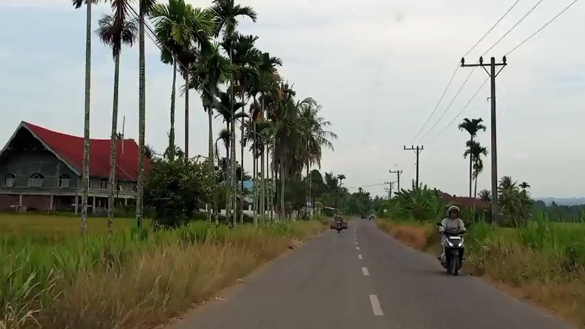 The video shows a paved road with a motorcycle rider in the foreground and several other motorcycles further down the road. Tall palm trees line the left side of the road, with a large building with a red roof behind them. The right side of the road is bordered by vegetation and more palm trees. Overhead power lines are visible. The sky is overcast. The overall scene depicts a rural or suburban road in a tropical or subtropical region.