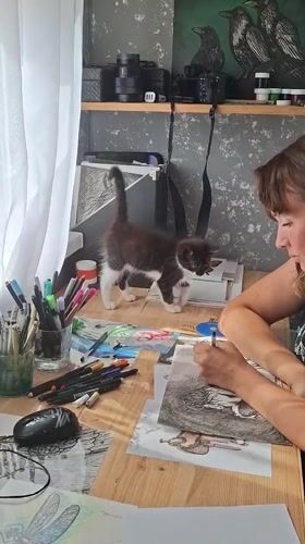 Ink drawing session in Kempelevo, with a kitten in the way