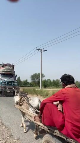 A light brown and white donkey harnessed to a wooden cart stands on the right side of a paved road. A large, ornately decorated dump truck with a blue cab and a green and red dump bed approaches from the left, passing the donkey cart. The truck is adorned with colorful patterns and numerous attachments. In the background, power lines stretch across a clear sky, above sparse trees and green fields.