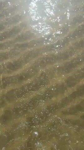 The video shows a first-person perspective of someone walking in shallow water, possibly at a beach or lake. The sun glints off the water's surface, creating bright reflections. Splashes of water are visible as the person's feet move through the shallow depths. The water appears murky, with the bottom obscured from view. The scene is focused on the movement of water and the experience of wading.