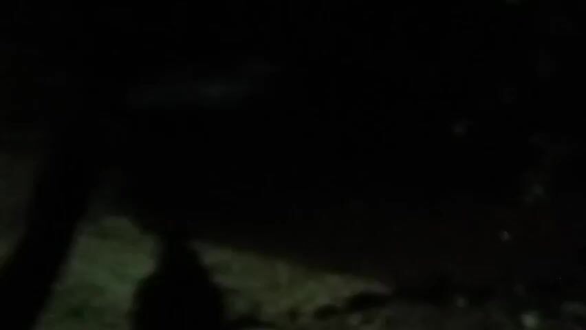 The video captures a dark, outdoor scene at night. The camera slowly pans from left to right across dense vegetation and trees. On the left side, a faint white light, possibly from a vehicle, is briefly visible. The camera then focuses on a white banner or sign hanging vertically, which is partially obscured and blurred by motion, making any text on it illegible. The ground appears to be covered in grass or dirt. An audible engine sound is present throughout the clip.