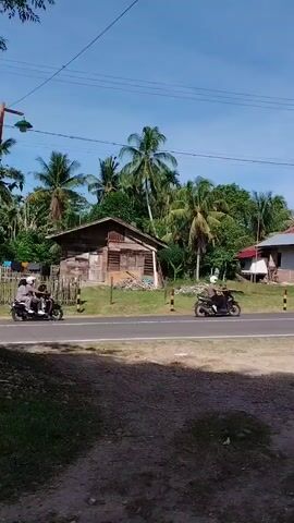 The video depicts a road in a rural setting with a few houses and lush greenery, including palm trees. Several motorcycles are seen driving along the road at various points. The camera remains stationary throughout the video, offering a wide view of the scene. The sky is a clear blue with some power lines visible overhead. The road itself is asphalt with white lane markings.