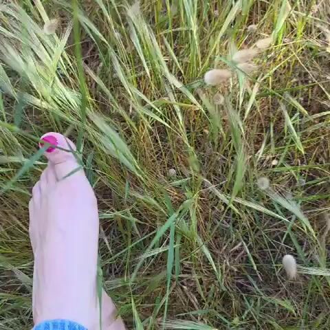 A single bare foot with bright pink nail polish walks through tall, slightly dry green grass. The foot is attached to a leg, which is covered in blue denim pants. The background is entirely tall green grass with a few lighter brown patches of dried grass or dirt visible underneath. The lighting is bright, suggesting an outdoor, daytime setting. The camera angle is a close-up, downward view, focusing on the foot and immediate surroundings.