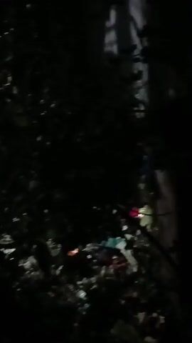 This media file captures a dimly lit, outdoor scene, likely at night given the darkness. The primary subjects are dense foliage, which obscures much of the view and creates a shadowy, somewhat mysterious atmosphere. Hints of light can be seen filtering through the leaves, suggesting artificial lighting sources nearby, possibly from a building or streetlights.

The ground beneath the foliage appears to be covered in debris, including what looks like trash or discarded items, indicating an urban or semi-urban setting. There are also some indistinct colorful lights visible amongst the darkness, which could be decorative lights or reflections.

The camera is moving, creating a slight blur and a sense of exploration or surveillance as it pans through the vegetation. The overall mood is one of obscurity and perhaps a touch of unease due to the low visibility and the cluttered ground. No people are clearly visible, nor is any specific activity taking place beyond the movement of the camera. The location context of Baipayl, Bangladesh, suggests this might be a backyard, a park edge, or a neglected area within the locality. No text is visible in the media.