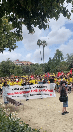 Yellow-shirted protesters gather in Barcelona park demonstration