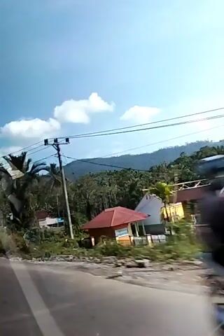 A video captures a view from a moving vehicle, looking towards a landscape with lush green vegetation and a clear blue sky with scattered clouds. In the foreground, a paved road is visible, with its surface slightly blurred due to motion. Power lines and a utility pole stretch across the frame, partially obscuring the view of the sky and the distant hills. Several houses with reddish-brown roofs are scattered amongst the trees, suggesting a rural or semi-rural setting. Palm trees with their distinctive fronds are also prominent features of the landscape. The overall impression is one of a journey through a tropical or subtropical region on a sunny day.