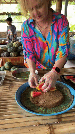 Behind the scenes of elephant feeding at a Ko Samui sanctuary