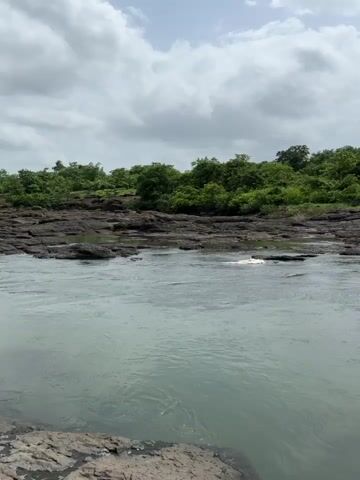 The video shows a wide river flowing through a rocky landscape. The water is a pale green color and appears to be moving gently. There are large rocks and boulders scattered along the riverbed, some of which are submerged in the water. The banks of the river are lined with lush green trees and vegetation, forming a dense forest that stretches up a gentle slope. The sky is overcast with scattered clouds, suggesting it may have recently rained or is about to. The overall scene depicts a natural, serene environment, likely in a tropical or subtropical region, with a focus on the river and its surrounding natural beauty. There are no people or man-made objects visible in the video.