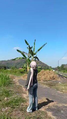 A person wearing a light pink hijab, a checkered long-sleeved shirt, and light blue flared jeans stands on a dirt road, facing away from the camera. They are holding a smartphone in their right hand, appearing to take a selfie. A small brown purse is slung across their chest. To the left of the person is tall green grass and a banana tree. In the background, there is a large pile of dried hay, a distant hill covered in green vegetation, and a clear blue sky. The sun is shining brightly, casting a shadow from the person onto the road.