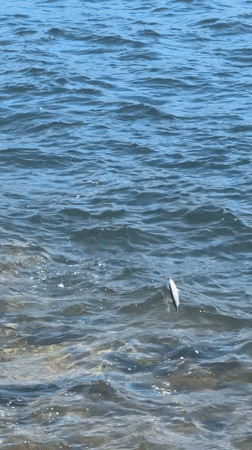 Fishing and strolling along Vladivostok's rocky lighthouse spit