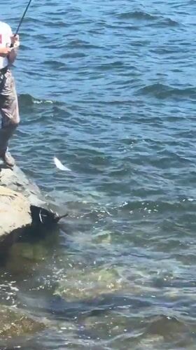 Fishing and strolling along Vladivostok's rocky lighthouse spit