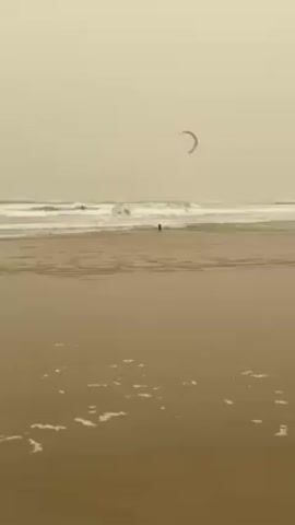 Here's a detailed description of the video:

The video shows a wide, sandy beach on a hazy day. The sky is a uniform pale beige. The foreground is the wet sand of the beach, with small patches of white foam visible.

Further out, waves are breaking in the ocean. A person appears to be surfing on one of the waves, visible briefly as they move across the water. A dark-colored dog is running in the shallow water near the waves.

In the sky, a kite is visible. It's arched and appears to be used for kitesurfing, though no kitesurfer is immediately apparent attached to it in this view. A red and white signpost is visible in the water on the right side of the frame.