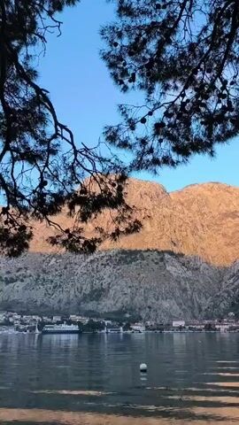 The video presents a scenic view of a bay with a mountain backdrop, framed by the silhouette of pine tree branches in the foreground. The water in the bay appears calm, with a small, white spherical buoy floating on the surface. A town or village lines the shore, with a large white ship or ferry visible in the distance. The mountain in the background is split between shade and sunlight, with the upper part bathed in the golden light of either sunrise or sunset. The sky is clear and blue. No people are visible.