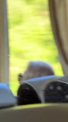 The video shows a blurry view from inside a vehicle, likely a bus or train, looking out a window. Green foliage is visible outside, blurred by motion, indicating the vehicle is traveling. In the foreground, the backs of seats are visible, with a person's head and shoulders seen between them. The person has blonde hair and is wearing sunglasses. They are looking out the window. The lighting suggests it is daytime.