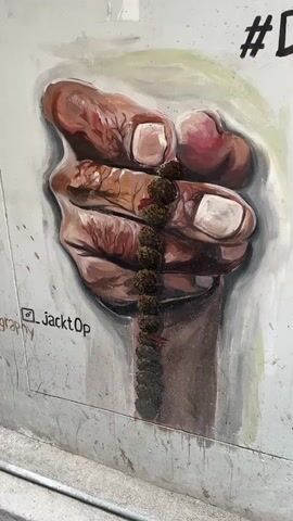 The video shows a piece of street art depicting a fist clenched around a string of dark, dried floral buds, possibly hops or similar. The hand is painted in shades of brown and pink, highlighting knuckles and creases to emphasize age and wear. The nails are painted white, and the background is a muted gray with a faint green aura around the fist. Below the art is a small, handwritten tag that reads "_JacktOp" with the word "raphy" faintly visible above it. A partially obscured "#D" is visible to the right. The surface is uneven, suggesting a wall, and the video appears to be taken during daylight.