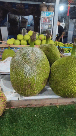 Tropical fruit vendor displays jackfruits, durians at Thai market