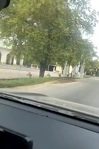 This is a dashcam video showing a drive through a village in Cottupah, Indonesia. The scene is rural, with lush green trees lining the road. There are several small buildings and structures visible, including what appears to be a market or shop with a long, covered storefront. A prominent feature is an ornate archway with pillars, possibly an entrance to a significant building or landmark. There are also utility poles and a tall telecommunications tower in the distance, indicating some level of infrastructure. The weather appears to be overcast, and the time of day seems to be mid-morning or afternoon based on the lighting. The road is paved and appears to be a two-lane road with a white dividing line. There are no people clearly visible in the foreground, but there might be some activity in the distance or within the buildings. The overall mood is one of peaceful, everyday life in a tropical setting. The video captures the typical scenery one might encounter while driving through a village in this region.