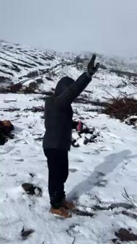 A person wearing a black hooded jacket, black pants, and brown boots is walking and falling in the snow. The person is on a snow-covered hill or mountain with tree branches and debris scattered around. The background consists of a foggy landscape with more snow-covered hills. It appears to be snowing lightly. The person is initially standing, then waving an arm, before slipping and falling in the snow.