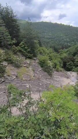 The video shows a steep, rocky incline covered with trees and bushes. The camera pans down, revealing a small pool of water at the bottom of a rocky crevice. The water is clear and shallow, with some green vegetation growing around its edges. A white object, possibly a rock or a piece of debris, is visible in the water. The sky is overcast, and the overall lighting is dim. The camera appears to be held by a person standing at the top of the incline, looking down at the scene.