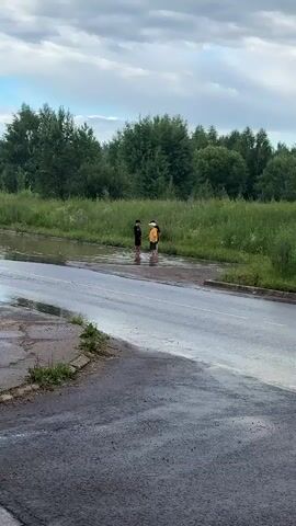 The video shows three young people wading through a large puddle on a paved road. The individuals are dressed casually. One person on the left wears a black t-shirt and shorts, a black baseball cap, and appears to be of darker complexion. The middle person is wearing a black t-shirt with a yellow graphic, black shorts, and a black baseball cap. The person on the right is in a yellow hoodie, dark shorts, and a white baseball cap. They are all facing towards the right of the frame, walking through the water.

The setting is outdoors, with a grassy field and a dense line of trees behind the puddle. The road surface appears wet, suggesting recent rain. The sky is cloudy, with a mix of grey and lighter, possibly blue, patches indicating a cloudy or overcast day, possibly late afternoon or early evening given the soft light. The location cues are consistent with a rural or suburban area in Markovsky, Russia, given the natural landscape and the presence of a road. There is no visible text in the video. The overall mood appears relaxed and playful, as the individuals are not showing any signs of distress and are engaging with the environment. The activity is simply walking through the water, likely for amusement.