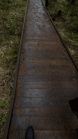 Hikers traverse wet forest boardwalks in Zyuratkul National Park