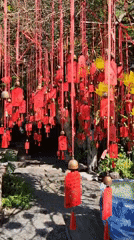 Inside Chùa Tự Tâm: a Da Nang Buddhist temple up close