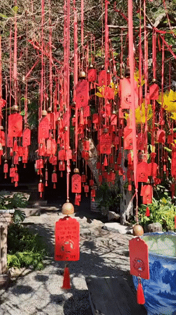 Inside Chùa Tự Tâm: a Da Nang Buddhist temple up close