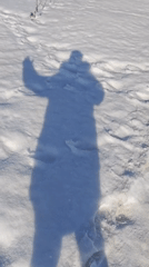 Russian winter scenes: truck, shelter, dog, shadow documented