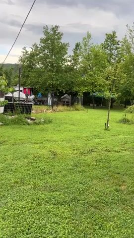 The camera pans across a green grassy yard towards a small camper and a rusty metal shed. The camper is white with "Chateau" written on the side and has a gray awning extended. A young tree stands beside the camper.  The metal shed has a Bulgarian flag and a Japanese flag flying above it. Clothes hanging to dry are visible behind the shed. The sky is overcast.