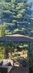Personal documentation session captures indoor, outdoor scenes over hour