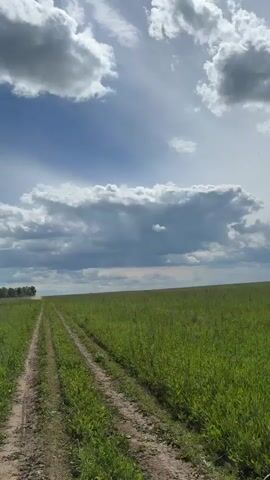 The video shows a dirt road cutting through a green field. The sky is blue with white clouds. There are trees in the distance. The camera is moving forward along the road.