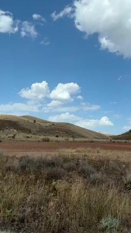 The video shows a landscape view from a moving vehicle. The scene is dominated by a vast expanse of dry, golden grass in the foreground, with a dirt road visible at the bottom edge. In the midground, there are rolling hills with patches of dry vegetation and some bare soil. The background features larger hills with sparse greenery and rocky outcrops. The sky is a clear, bright blue with scattered white cumulus clouds. The overall impression is of a rural, arid environment under a sunny sky. No people or animals are visible in the video. The movement suggests the camera is panning or moving forward through the landscape.