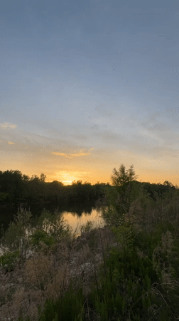 Sunset scenes and dog sighting captured near Ptichnik waterway