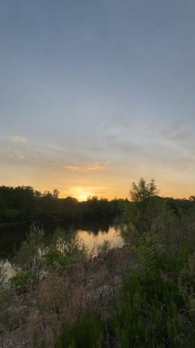 Sunset scenes and dog sighting captured near Ptichnik waterway