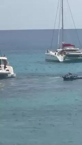 The video shows a seascape with several boats on calm, clear blue water under a bright sky. In the foreground, the water is shallow and the seabed is visible. To the left, a small white motorboat with people on board is visible. In the center of the scene, a white catamaran sailboat with a tall mast stands stationary, with a red sail visible on the deck. A black jet ski is seen speeding through the water near the catamaran. The overall impression is of a sunny day at sea with recreational boating activity.