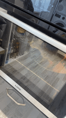 Domestic pet activities and social media content in Shumen