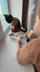 Woman documents afternoon with toddler and cat in Izhevsk