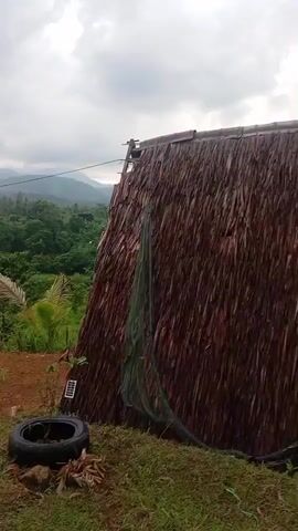 The video displays an outdoor scene with a cloudy sky and lush green vegetation. In the foreground, a tire lies on the ground next to some reddish-brown soil and green grass. A portion of a thatched-roof structure is visible on the right side of the frame. Beyond this, a verdant landscape unfolds with rolling hills and trees, suggesting a mountainous or jungle environment. In the distance, faint power lines stretch across the frame. The camera movement appears to be slightly shaky, panning across the landscape.