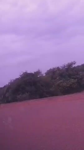 The video shows a view from inside a vehicle, looking out at a landscape. The sky is a hazy purple color, suggesting either dusk, dawn, or a significant amount of cloud cover. On the right side of the frame, there is a reddish-brown dirt or gravel road. Beyond the road, dense green foliage and trees line a gentle slope. The vegetation appears somewhat wild and uncultivated. The camera is positioned low, likely from the perspective of a passenger. Reflections are visible on the window, indicating it is a still shot or the vehicle is moving slowly. There are no people visible in the frame. The overall impression is a rural or semi-rural setting under an unusual sky.