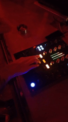 DJ and accordionist perform together at dimly lit venue