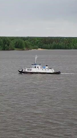 A small white and blue boat is sailing on a wide, rippled body of water, presumably a river or lake. The boat leaves a faint white wake behind it. The shoreline is lined with green trees under a cloudy, overcast sky. The wind noise is audible.