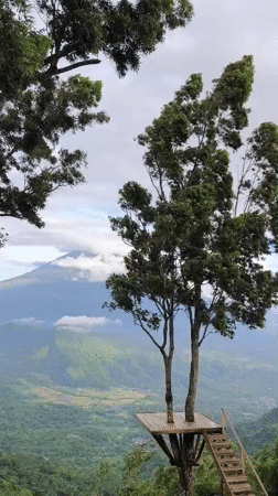 Wooden treetop viewing platform overlooks cloudy mountains in Abang