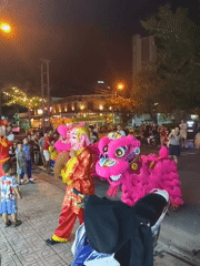 Lion dance troupe performs at a Nha Trang night celebration